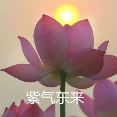 妖豆攻城掠地下载